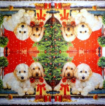 HUN-655 Hunde - 3-lagig - Ambiente - CS